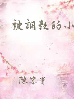 被调教的小骚货