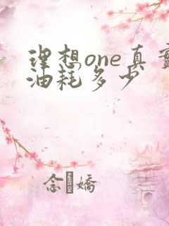 理想one真实油耗多少