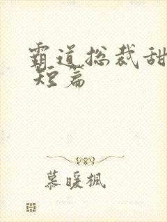 霸道总裁甜宠文 短篇