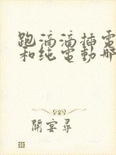 跑滴滴插电混动和纯电动哪个好