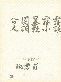 公园暴露露出任人调教小说