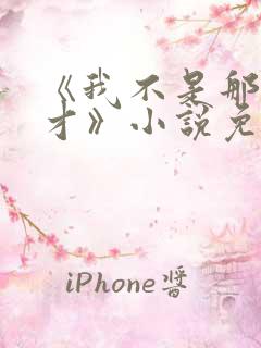 《我不是那种人才》小说免费阅读