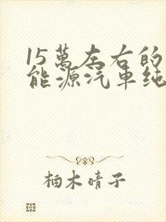 15万左右的新能源汽车纯电