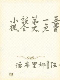 小说第一兵王于枫全文免费阅读