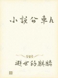 小说公车h