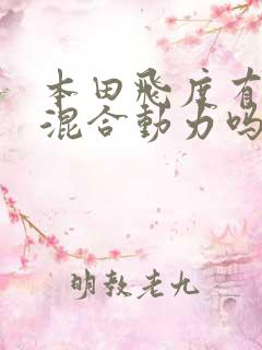 本田飞度有油电混合动力吗?
