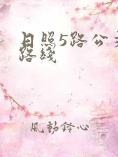 日照5路公交车路线