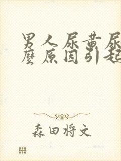 男人尿黄尿是什么原因引起的