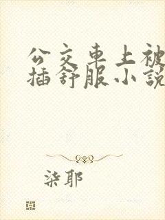 公交车上被摸被插舒服小说
