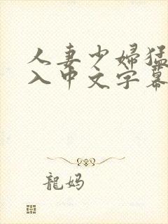 人妻少妇猛烈进入中文字幕图