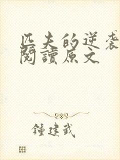 匹夫的逆袭免费阅读原文