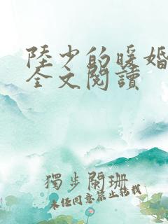 陆少的暖婚新妻全文阅读