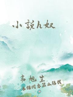 小说h奴