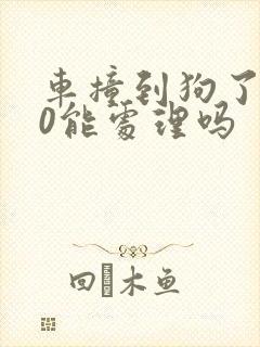 车撞到狗了110能处理吗 车撞到狗了110能处理吗
