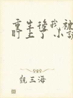 重生后我被大佬盯上了 小说 重生后我被大佬盯上了 小说