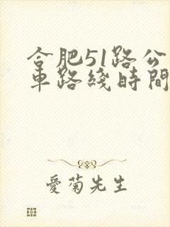 合肥51路公交车路线时间图