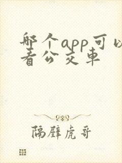 哪个app可以看公交车