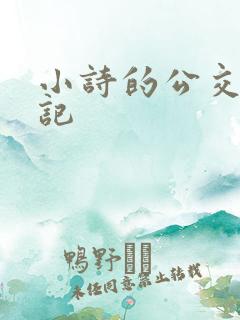 小诗的公交车日记