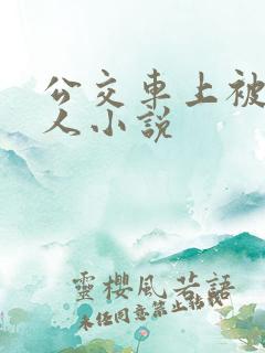 公交车上被陌生人小说
