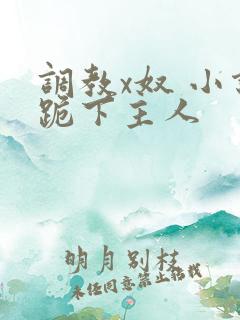 调教x奴 小说跪下主人