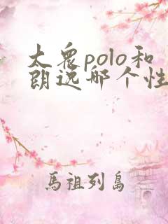 大众polo和朗逸哪个性价比高