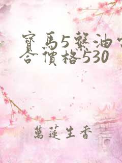 宝马5系油电混合价格530