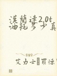 汉兰达2.0t油耗多少真实油耗