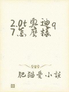 2.0t奥迪q7怎么样