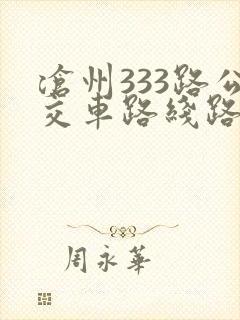 沧州333路公交车路线路线查询