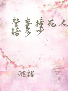 肇事撞死人需要赔多少