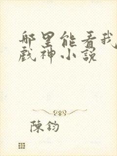 哪里能看我不是戏神小说