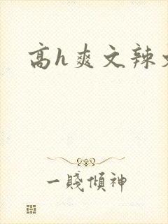 高h爽文辣文 高h爽文辣文