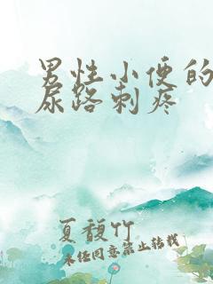 男性小便的时候尿路刺疼