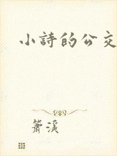 小诗的公交车日