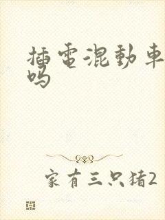 插电混动车能买吗