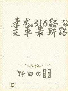 孝感316路公交车最新路线时间表