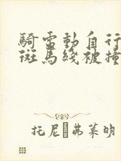 骑电动自行车过斑马线被撞责任