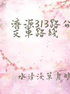 济源313路公交车路线