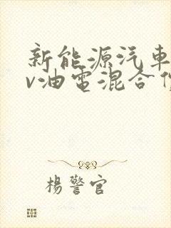 新能源汽车suv油电混合价格表
