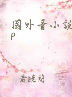 国外看小说app
