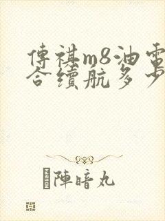 传祺m8油电混合续航多少公里