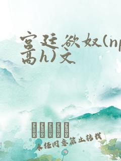 宫廷欲奴(np高h)文
