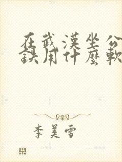 在武汉坐公交地铁用什么软件