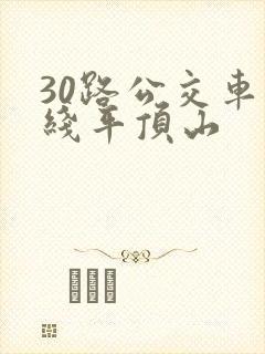 30路公交车路线平顶山