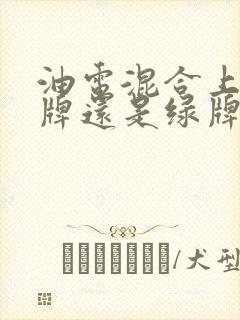 油电混合上的蓝牌还是绿牌