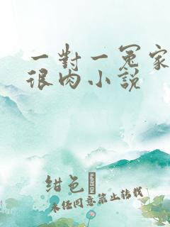 一对一冤家高h很肉小说