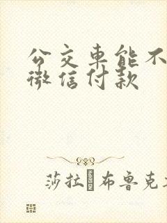 公交车能不能用微信付款