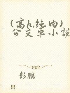 (高h,纯肉)公交车小说