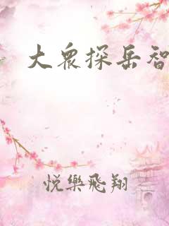 大众探岳智联