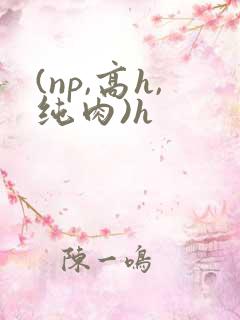 (np,高h,纯肉)h